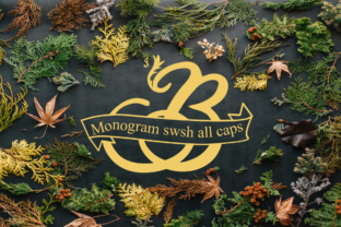 Elevate Your Brand with Monogram Swsh: A Stylish Display Font