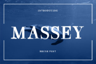 Enhance Your Brand with the Massey Display Font