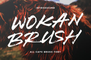 Wokan: A Fun and Clean Display Font for Your Brand