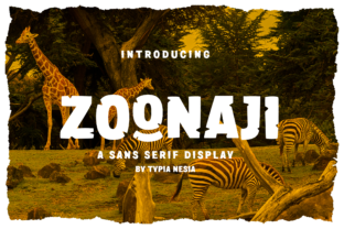 Zoonaji: The Enchanting Display Font for Creative Campaigns